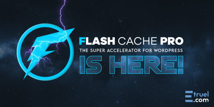 Flash cache free plugin for wordpress and pro extension - flash cache pro post