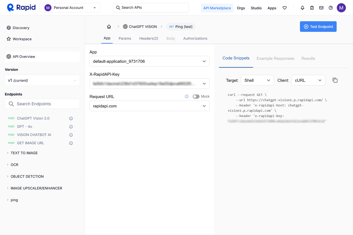 How to set an api key for chatgpt vision in rapidapi - rapidapi gpt vision api key