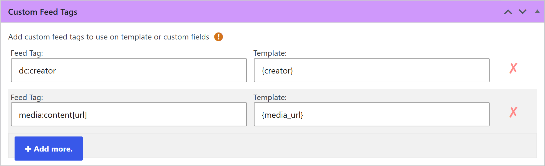 Custom feed tags box with example tags in a wpematico campaign