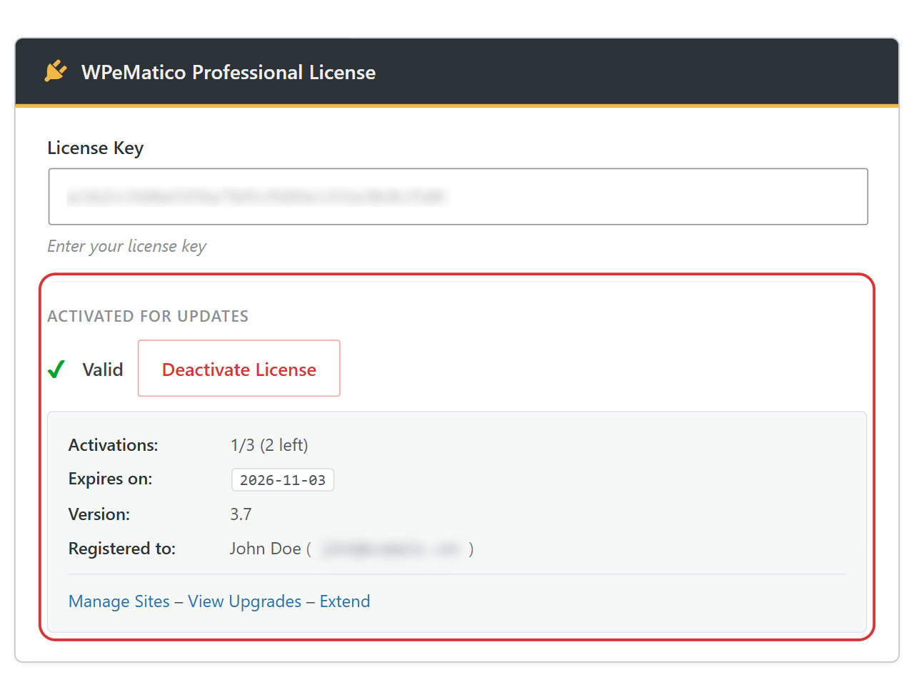 Active license of an add-on in the wpematico licenses tab