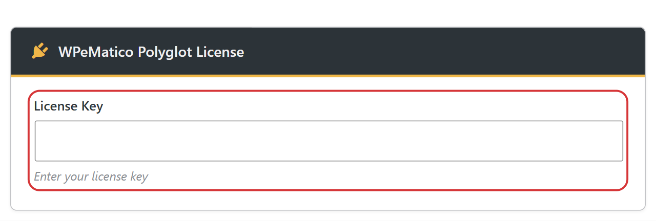 License key field of an add-on in the wpematico licenses tab