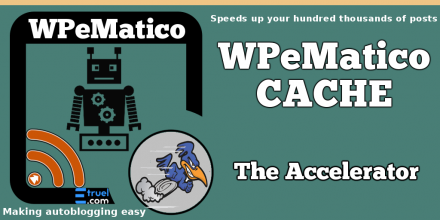 Many news and more discount codes in june! - wpematico cache